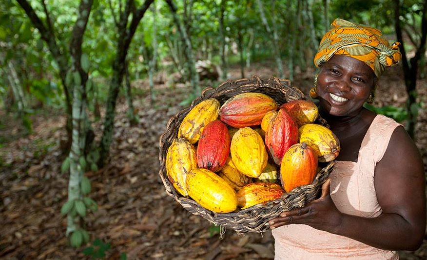 09/08/19 Cacao: Le Ghana a ajouté des frais pour augmenter les revenus des planteurs Pour lire plus https://intellivoire.net/cacao-le-ghana-a-ajoute-des-frais-pour-augmenter-les-revenus-des-planteurs